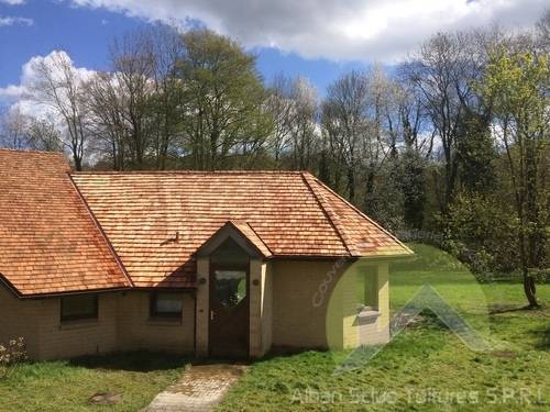 toiture en bois